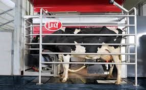 Example of a robotic milking machine.