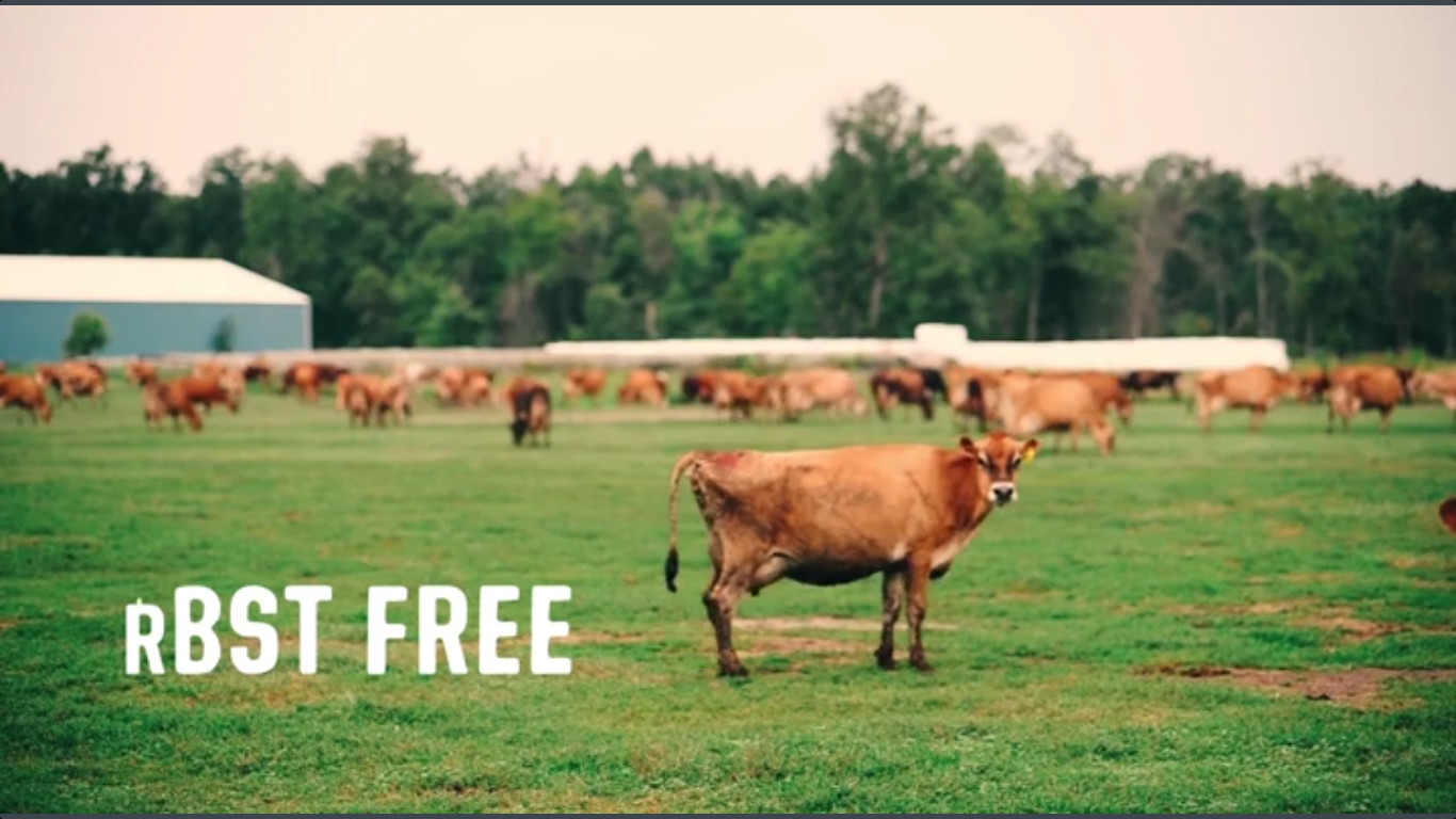 arps rbst free Arps Dairy arps rbst free Arps Dairy